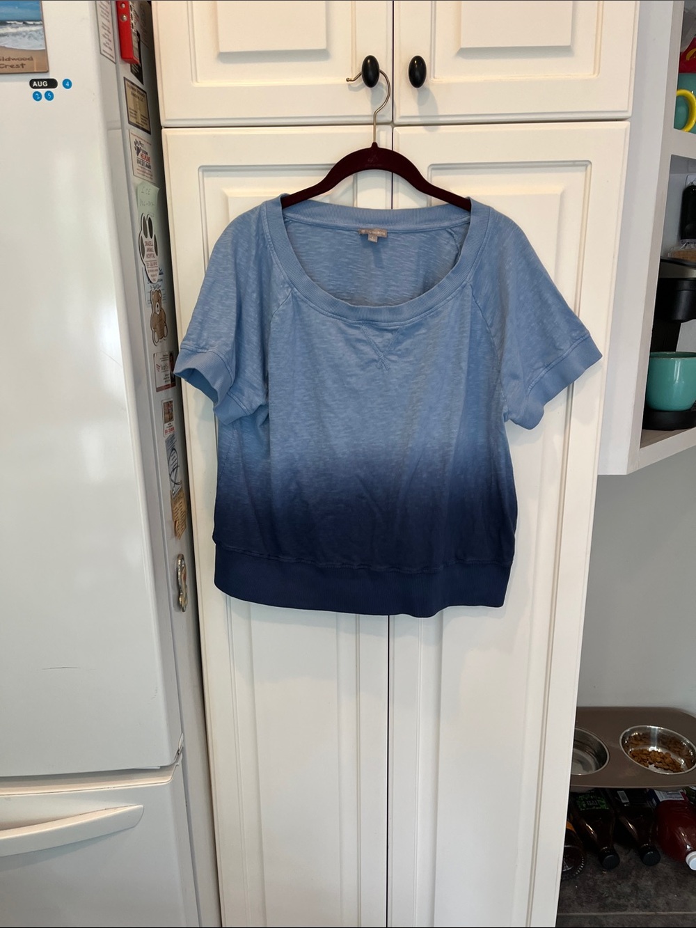 Talbots Blue Tee Shirt Large